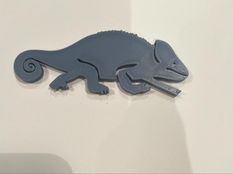 Chameleon