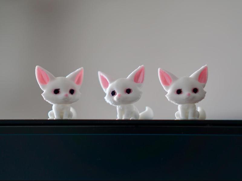 Cute Tiny Foxes