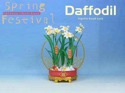 Chinese narcissus