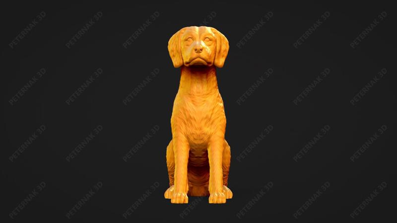 Brittany Dog 3D Print Model Pose 04