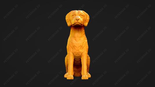 Brittany Dog 3D Print Model Pose 04