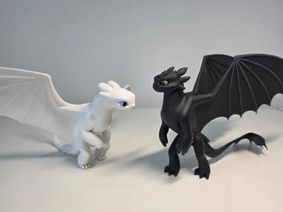 How to Train your Dragon - Toothless and Lightfury