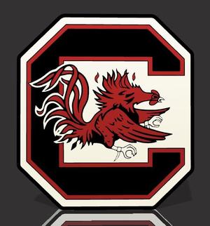 South Carolina Gamecocks