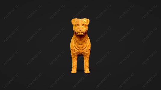 Border Terrier Dog 3D Print Model Pose 01