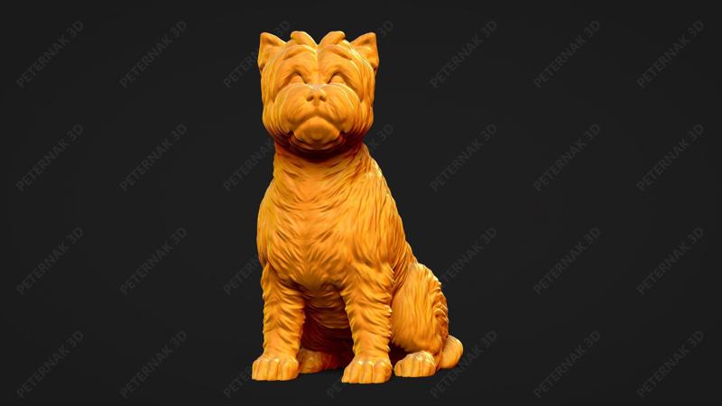 Cairn Terrier Dog 3D Print Model Pose 05
