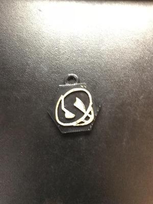 Team Skull Logo Pendant 