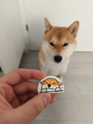 Shiba inu Keychain
