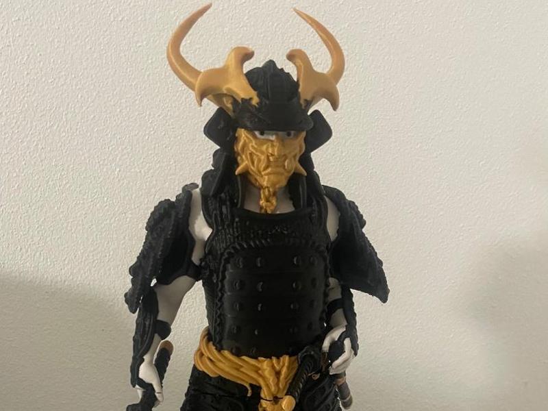samurai / ronin