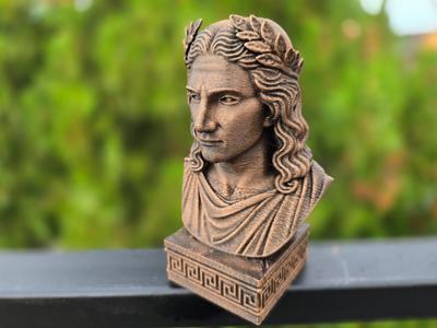 APOLLO BUST