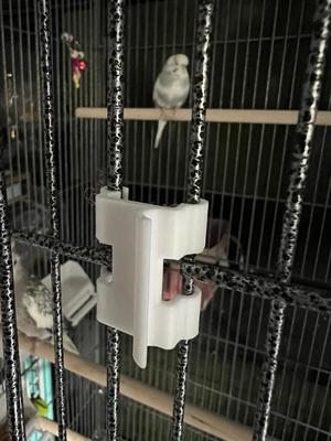 Secure Clip for Aviary Door
