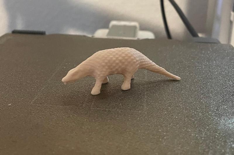 Pangolin 