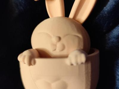 Rabbit in a Pot