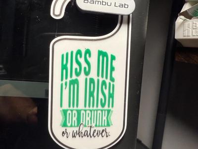 KISS ME I'M IRISH OR DRUNK OR WHATEVER DOOR HANGER