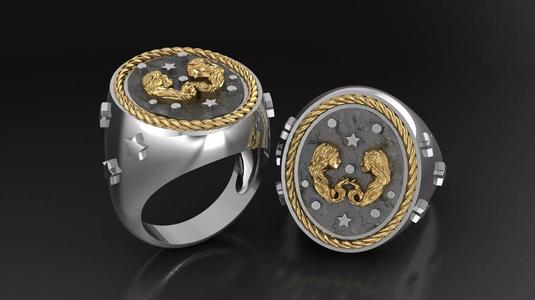 Zodiac Ring Gemini
