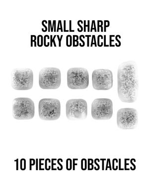 Small Sharp Rocky Obstacles