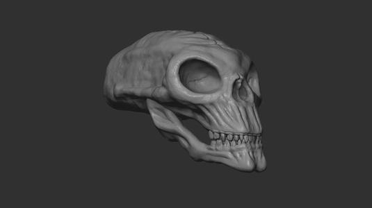 Alien Skull 3D print