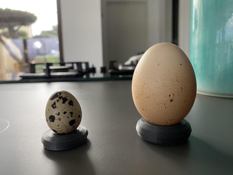 Egg holders