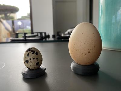 Egg holders