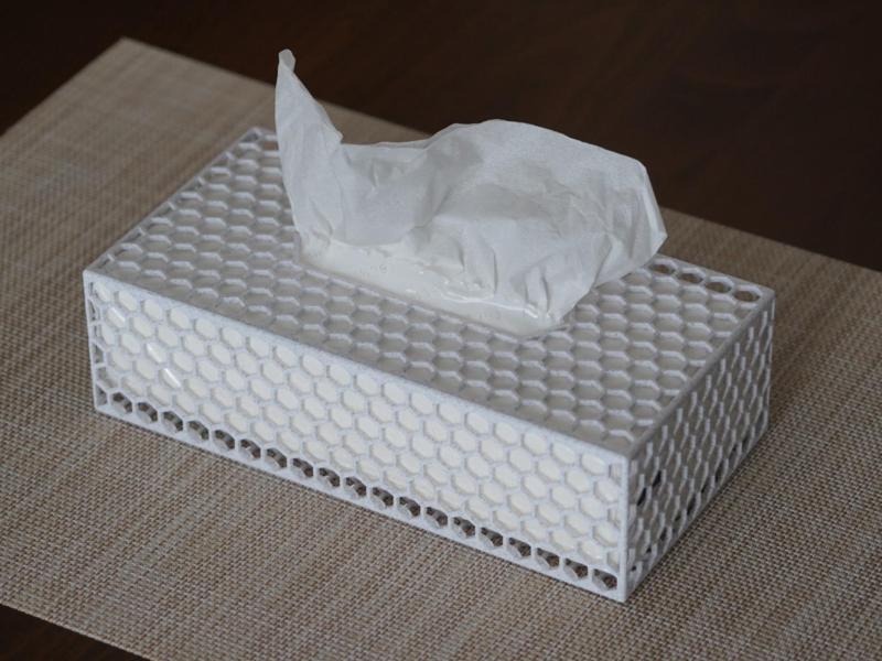 Light Weight Tissue Case