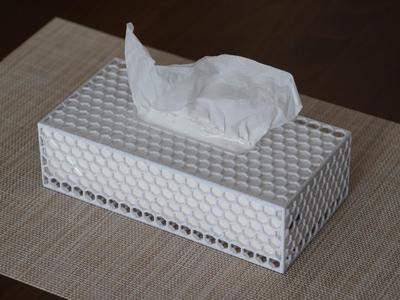 Light Weight Tissue Case