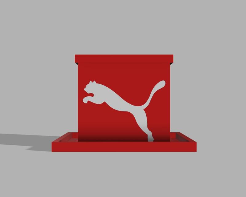 Puma Box Plot Plant || Puma Flower Pot