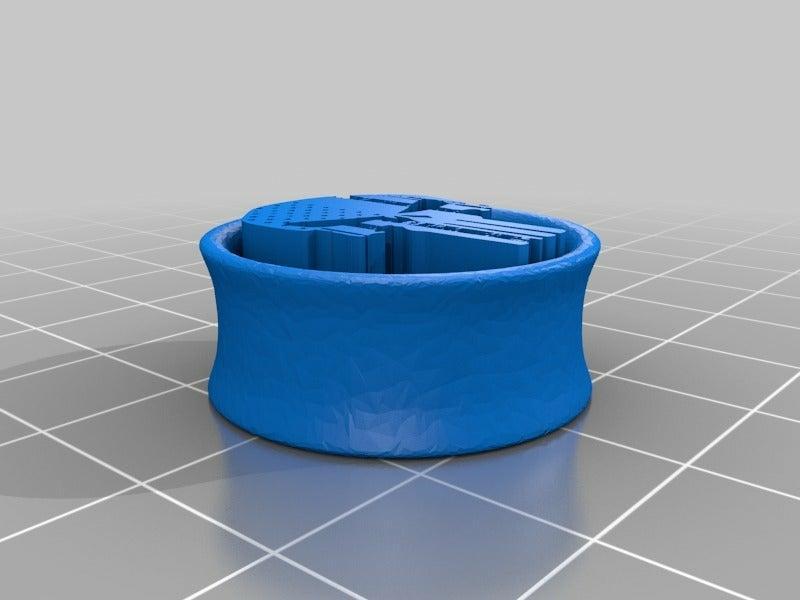 Punisher Earring plug