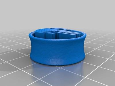 Punisher Earring plug