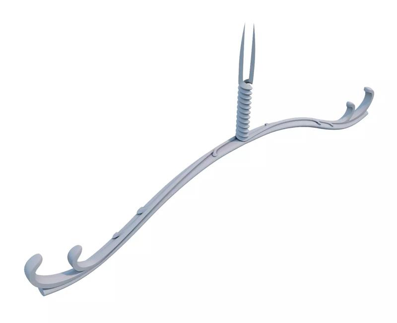 bow of Arjuna - Fate