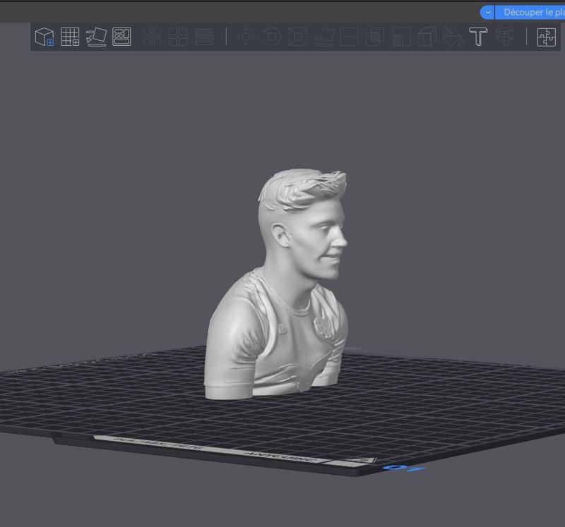 N'tamack Romain bust