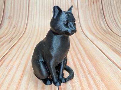 Halloween cat with hat and without hat