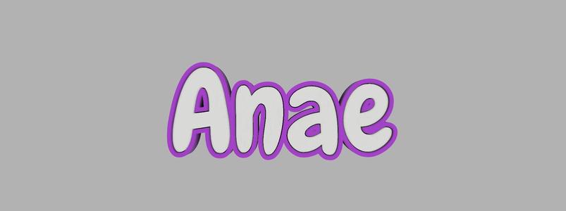 Two-tone key ring - Anae