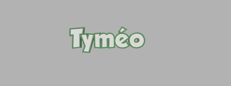 two-tone key ring - Tyméo