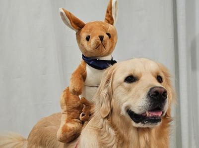 Dog Plushie Harness Saddle