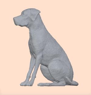 Great Dane - Great Dane