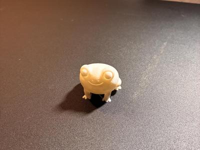 Cute Mr.Froggers