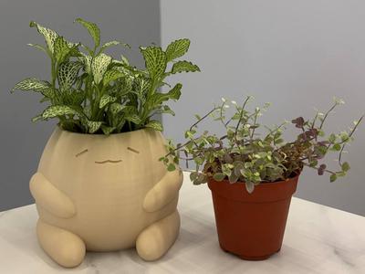 Mandora Planter Pot Holder