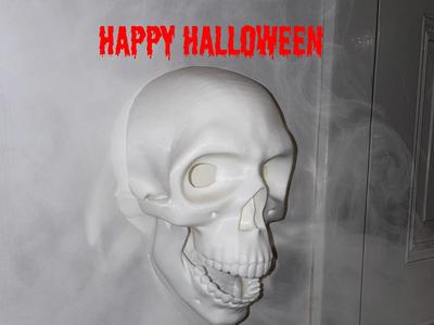 Skull Door or Wall Ornament with Light