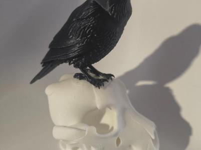Halloween Wolf Skull with Raven