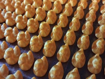 Hundreds of Ducks