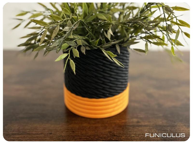 Funiculus - Planter