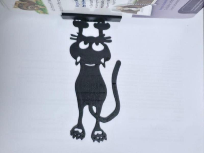 Cat for the invisible bookshelf 