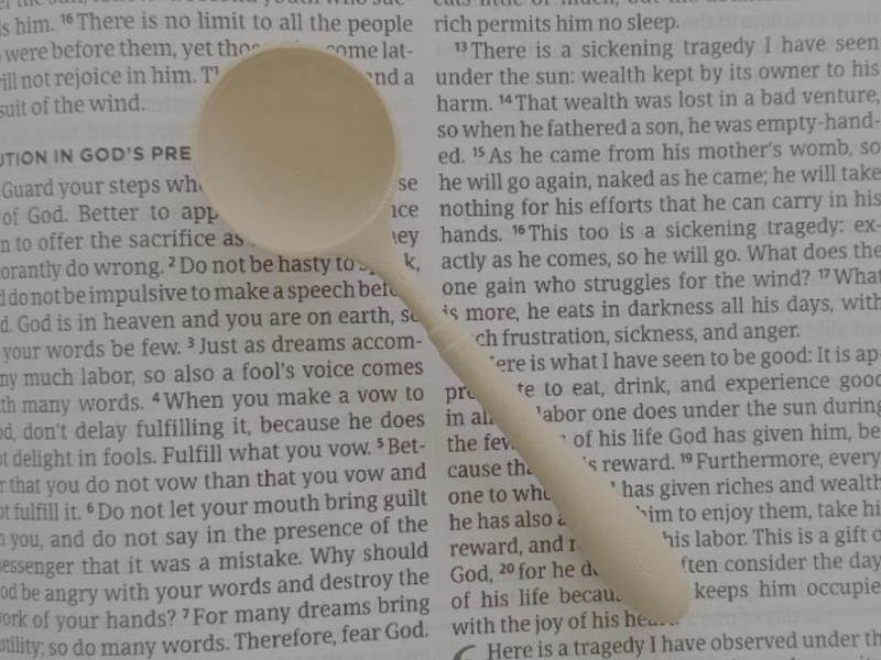 Vintage Café Sugar/Coffee Scoop Slim Handle Spoon