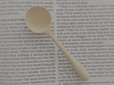 Vintage Café Sugar/Coffee Scoop Slim Handle Spoon