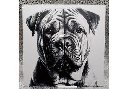 Shar Pei Hueforge
