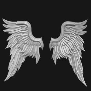 wings