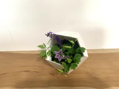 Minimalistic Geometric Planter for Small Plants and Succulents