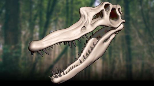 Spinosaurus aegypticus