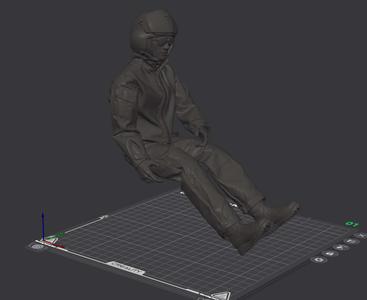 Helicopter Pilot 1/6