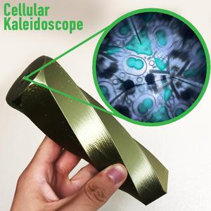 Cellular Kaleidoscope