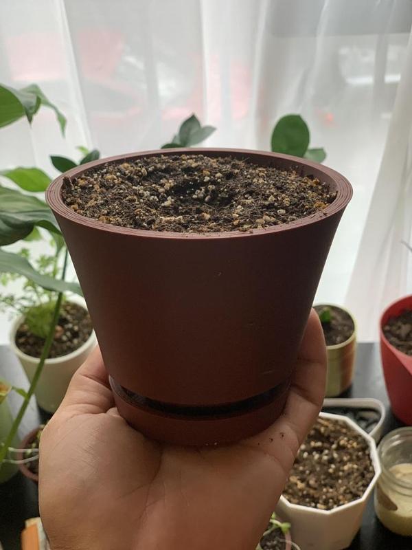 John's Pot 1.0